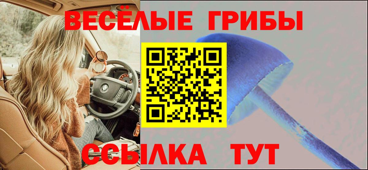 хочу наркоту  Вход с VPN  Оренбург  Псилоцибиновые грибы мухоморы 