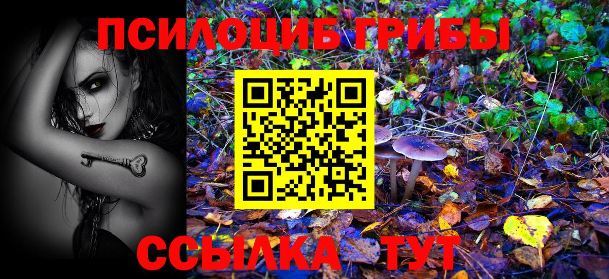 Псилоцибиновые грибы мухоморы Оренбург